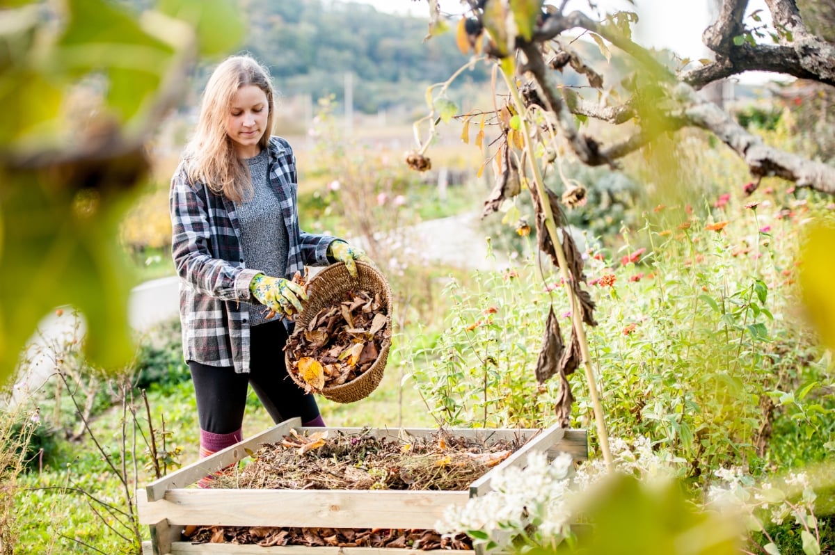 Composting for Hotels and restaurant waste and its applications in Lawns and Gardens.