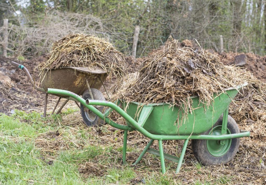 Organic Composting